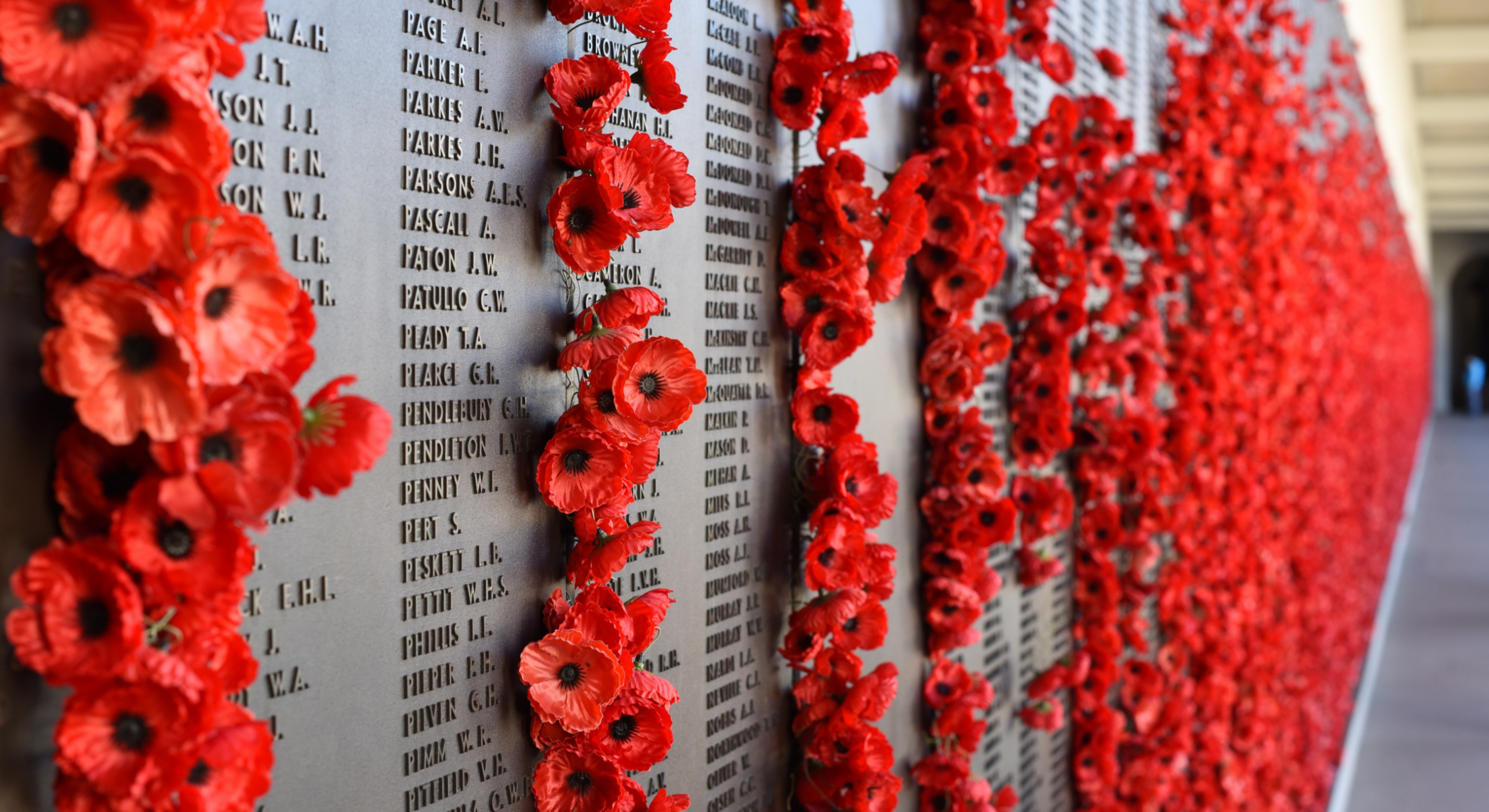ANZAC Day memorial with iconic poppy flowers